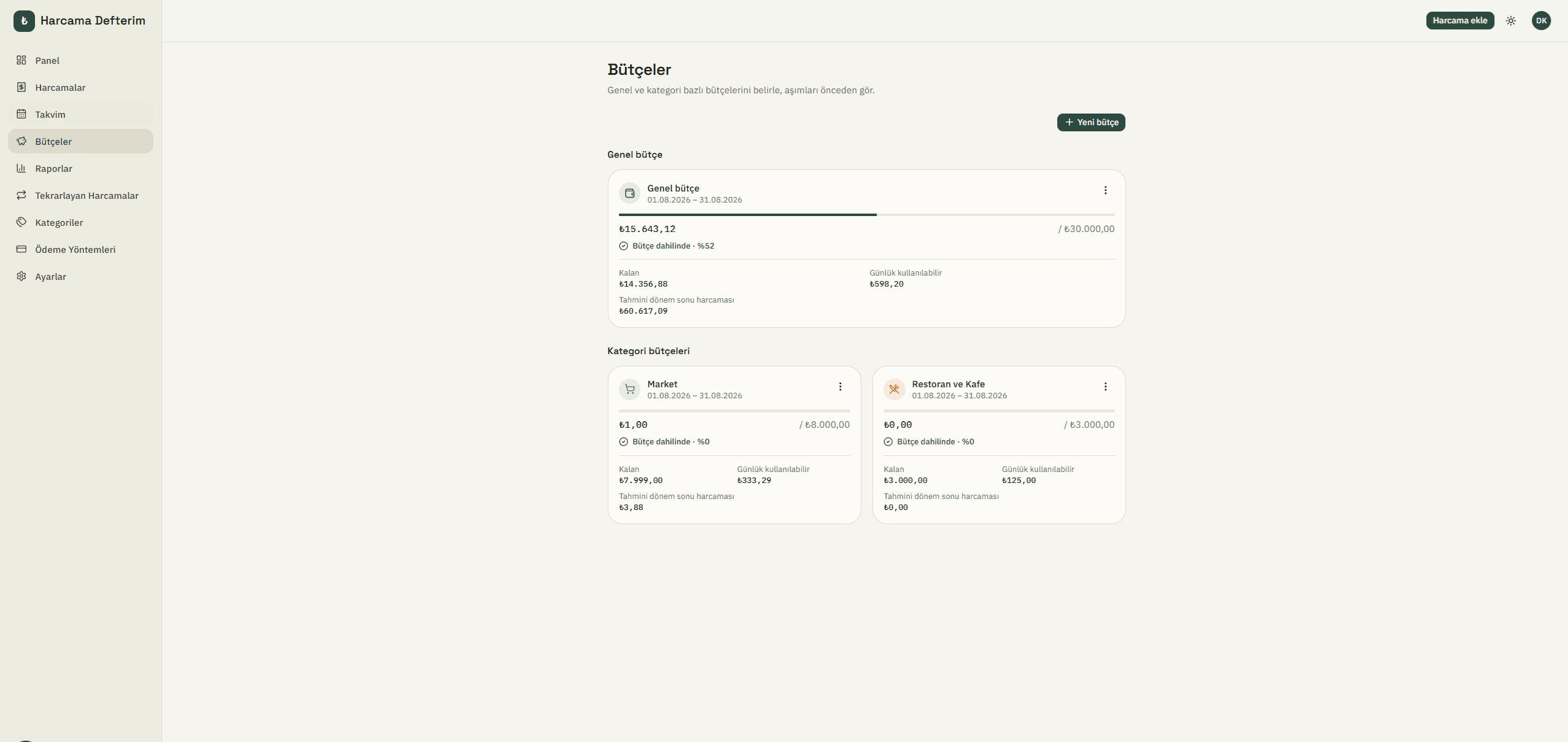Budgets page showing a general budget and category budgets with usage progress bars